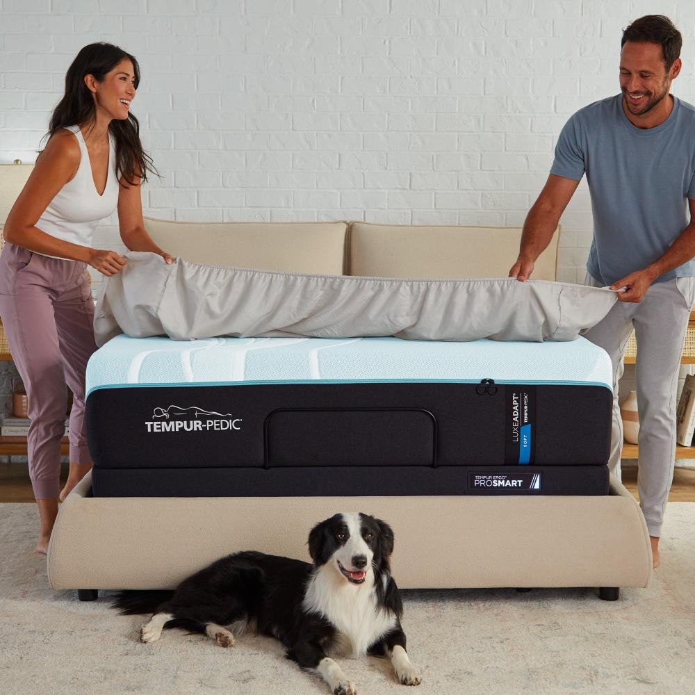 Tempur-LuxeAdapt® Soft Mattress, room view with dog