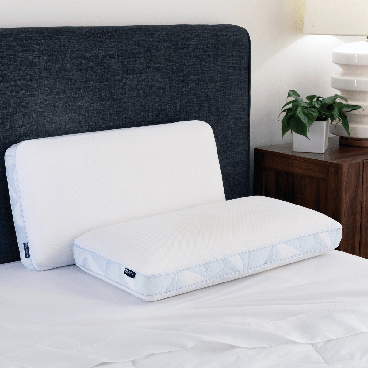 https://www.fostersmattress.com/cdn/shop/products/SE21_Arctic_Gusseted_Q_MemoryFoamPillow_Room_01.png?v=1685993084